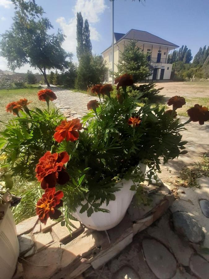 Yurt Camp Meiman Ordo Bokonbayevo Exteriér fotografie